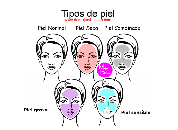 imagenes de tipos de piel como saber que tipo de piel tengo imagen