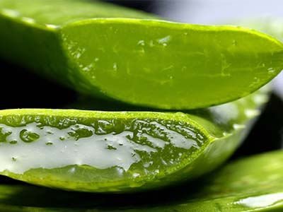 tips para el cuidado del cabello seco