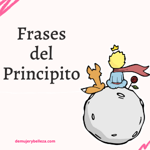 frases del principito sobre el camino
