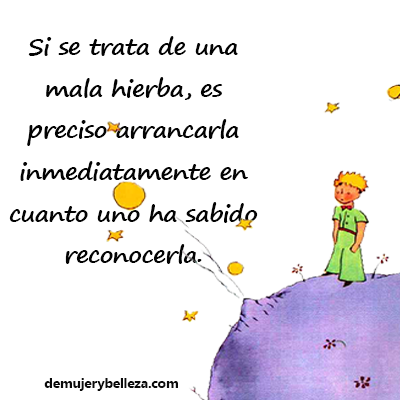 frases del principito sobre el camino