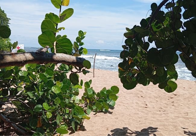 Playa los almendros El Salvador